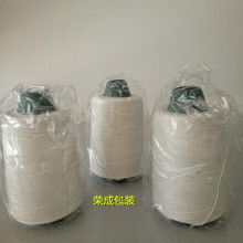 泰兴市光源电磁线有限责任公司 专业制造双玻璃丝包线与变压器电磁线